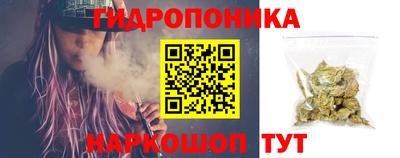 СК Рязань
