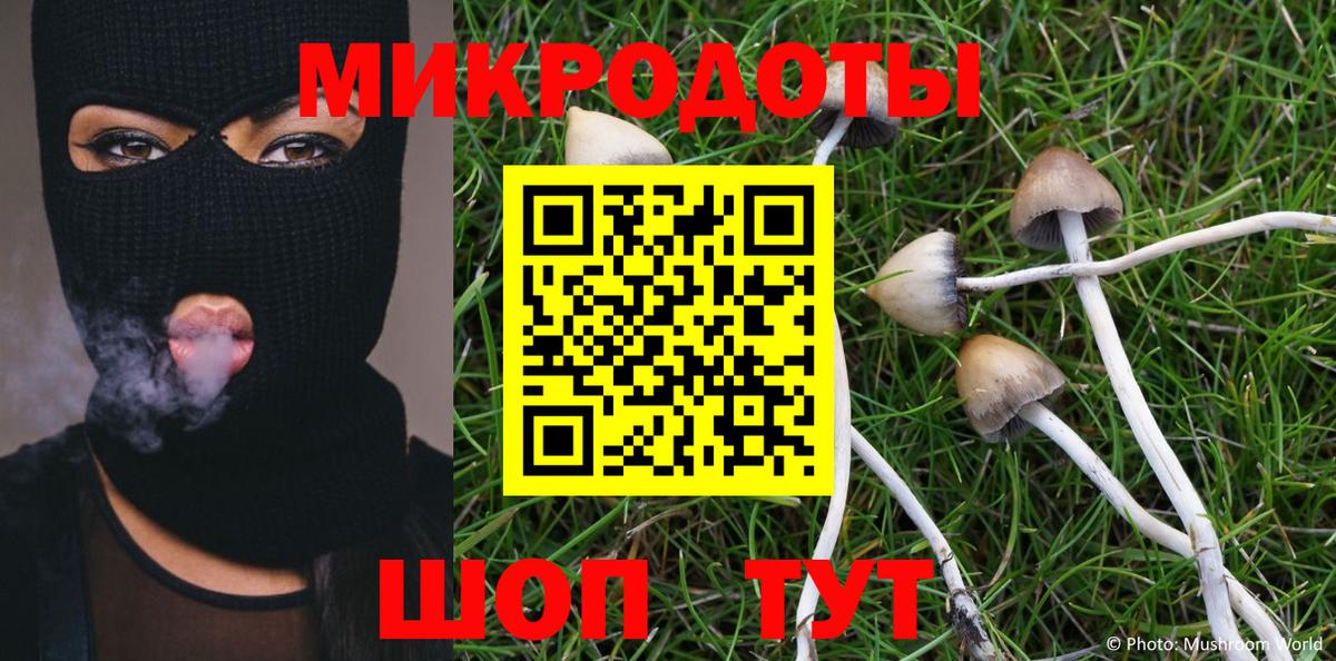 Псилоцибиновые грибы мицелий Саянск