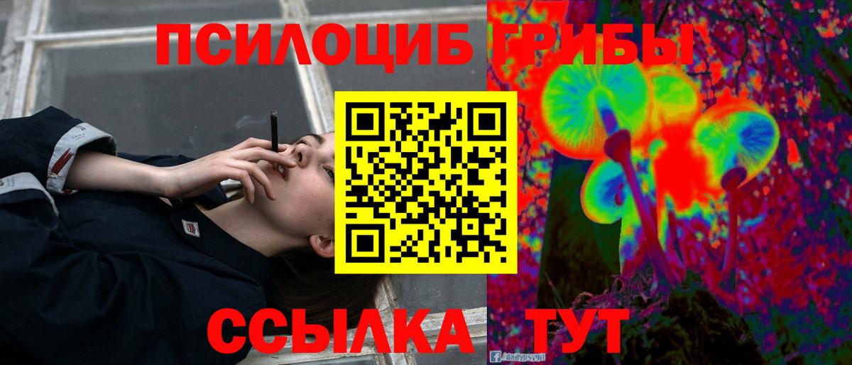 Саянск  Галлюциногенные грибы прущие грибы  Вход с VPN  Псилоцибиновые грибы GOLDEN TEACHER 